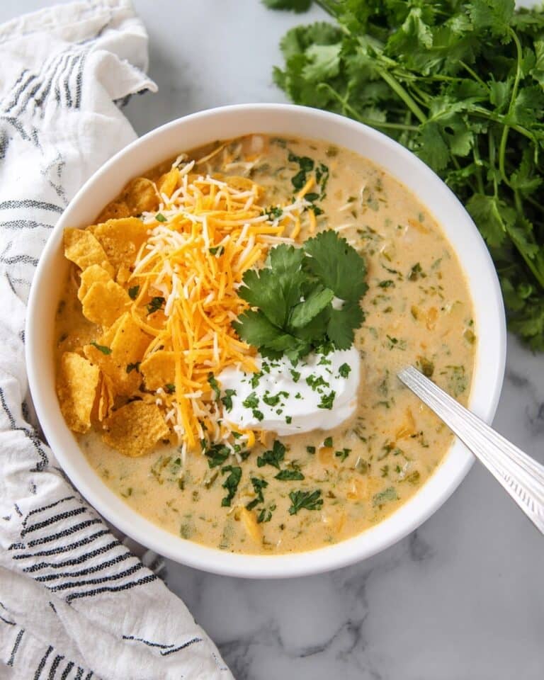 Green Enchilada Chicken Soup Recipe