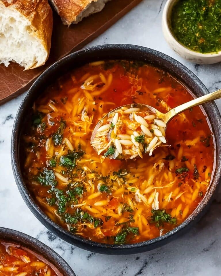 Chicken Orzo Tomato Soup Recipe