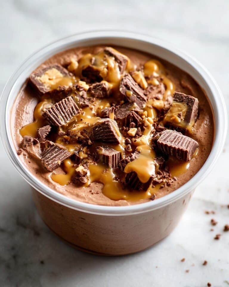 Chocolate Peanut Butter Protein Ice Cream (Ninja Creami) Recipe