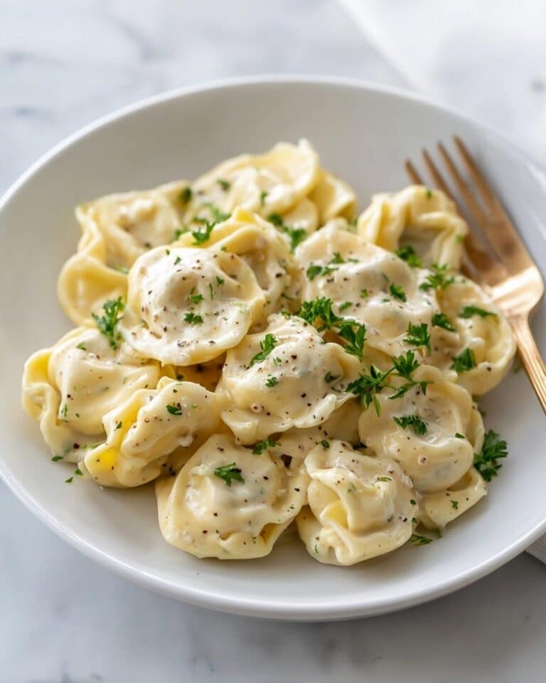 Creamy Parmesan and Asiago Tortellini with Herb Garlic Sauce Recipe