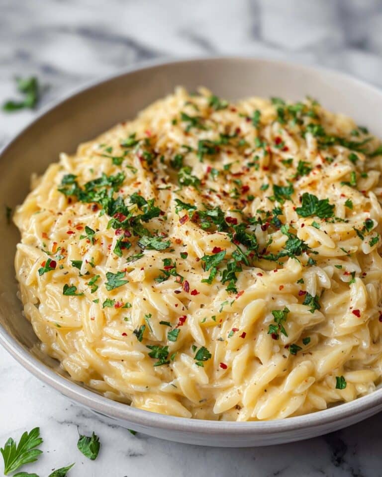 Creamy Garlic Parmesan Orzo Recipe