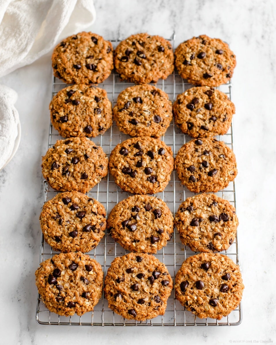 Healthy Flourless Pumpkin Chocolate Chip Oatmeal Protein Cookies Recipe